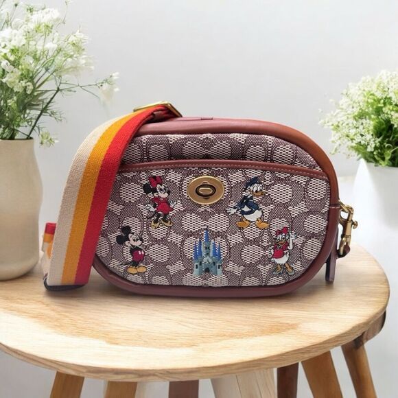 Coach & Disney Crossbody Camera Bag - Picture 1 of 14